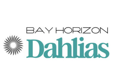 Bay Horizon Dahlias 